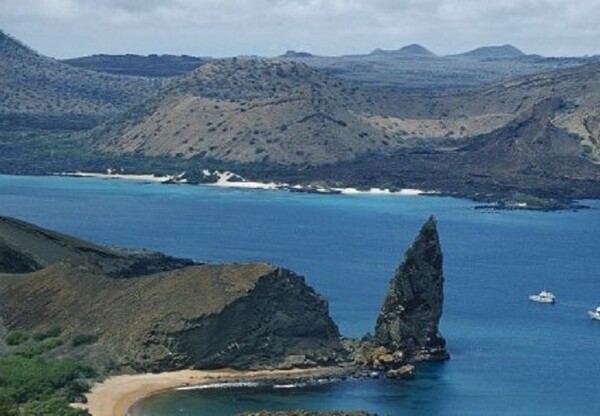 Galápagos: $12.4 Million Investment for Marine Conservation