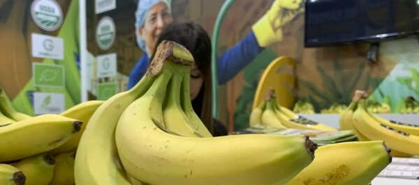 Banana Time Guayaquil: Strengthening the Sector