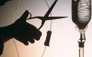 Ecuador's Constitutional Court Legalizes Euthanasia